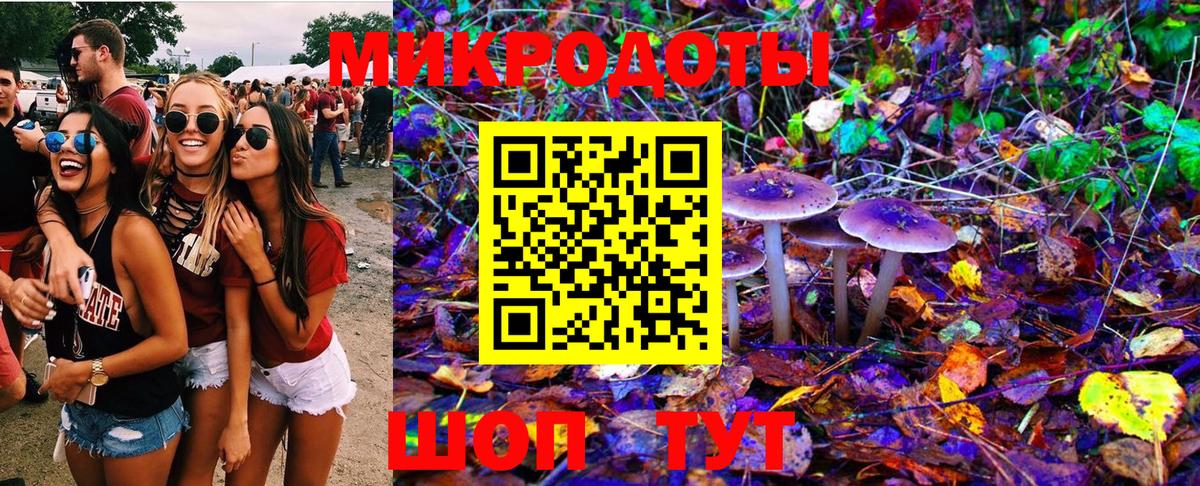 где продают   Вход с VPN  Галлюциногенные грибы мухоморы  Вичуга  Псилоцибиновые грибы Magic Shrooms 